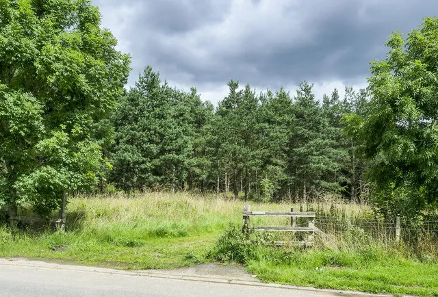 Durham Regional Forest - Walker Woods Tract