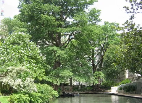 Durst-Taylor Historic House and Gardens