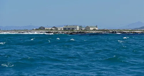 Dyer Island