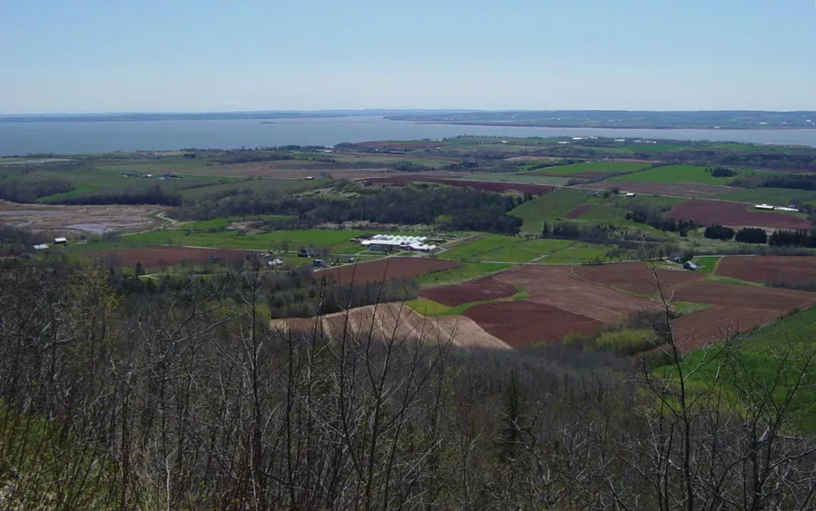 Dykelands of the Minas Basin