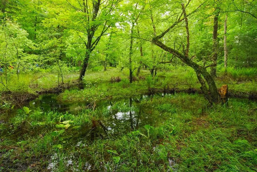 East Fork Campground