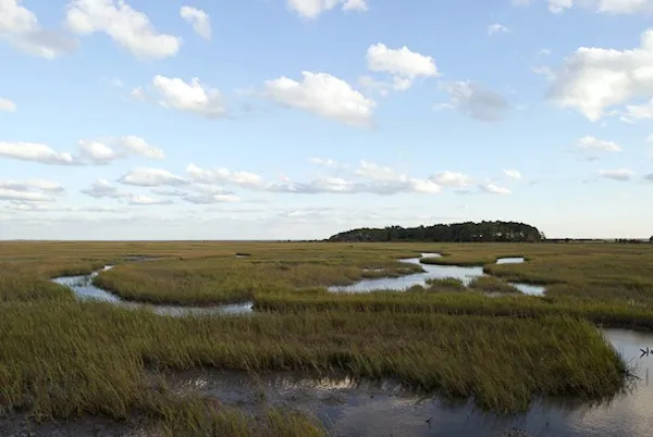 Eastern Shore National Wildlife Refuge