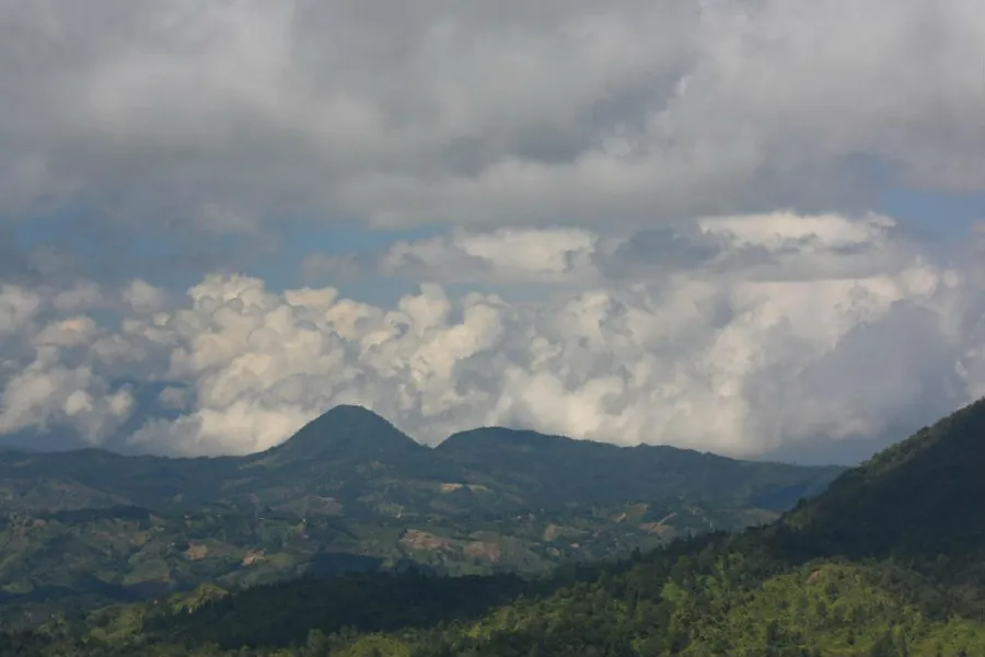 Ebano Verde Scientific Reserve