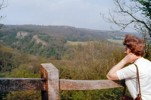 Ebbor Gorge National Nature Reserve