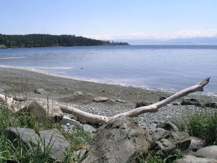 Ed Macgregor Park