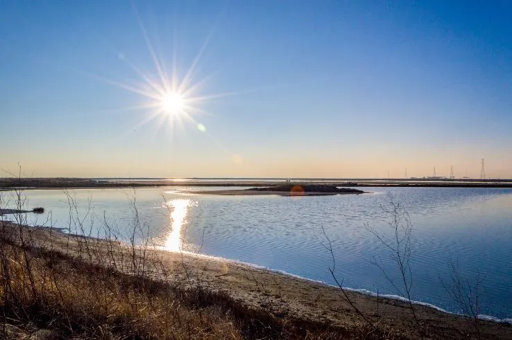 Eden Landing Ecological Reserve