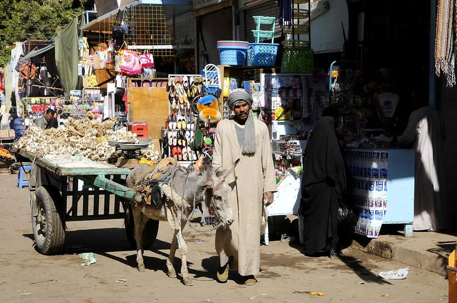 Edfu Market