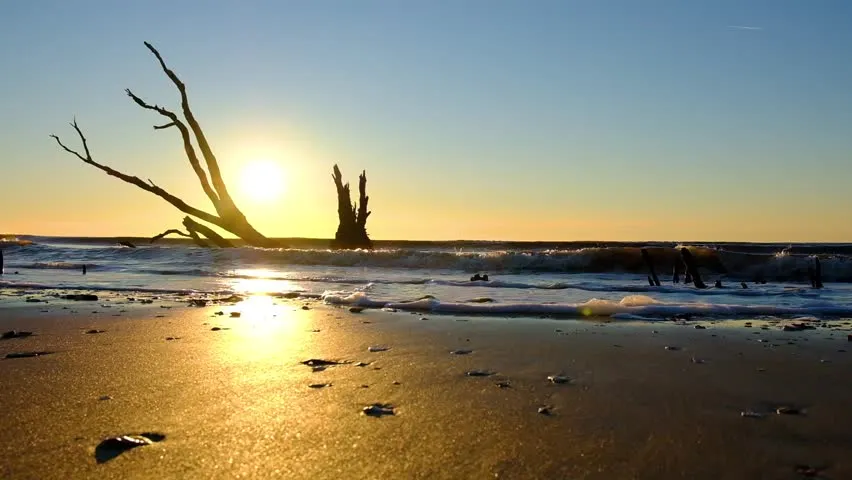 Edisto Beach