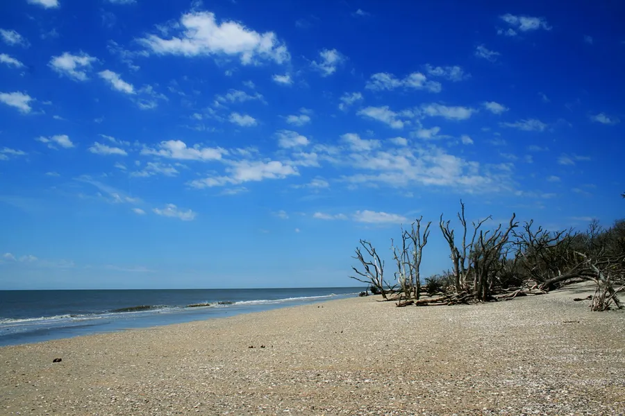 Edisto Beach State Park