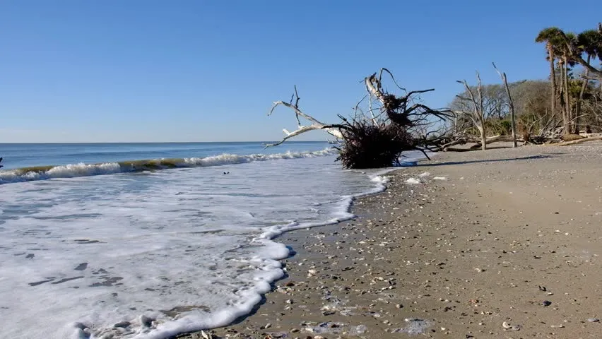 Edisto Watersports and Tackle