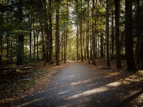 Egans Creek Greenway Trail