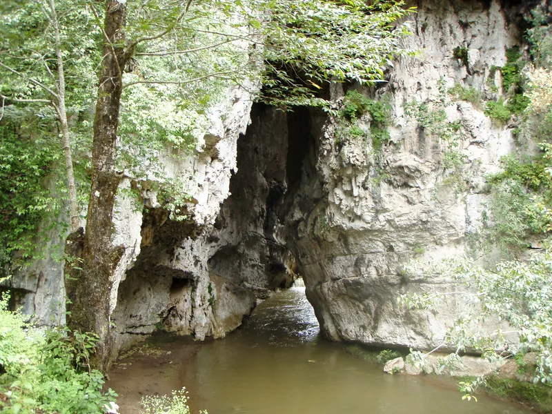 El Arcotete Natural Reserve