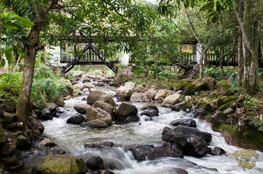 El Gallineral Natural Park