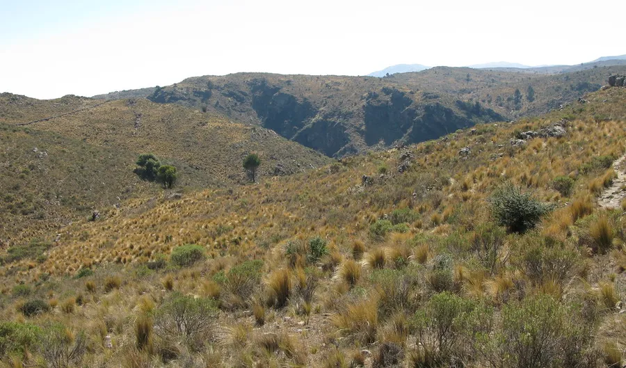 El Paraiso