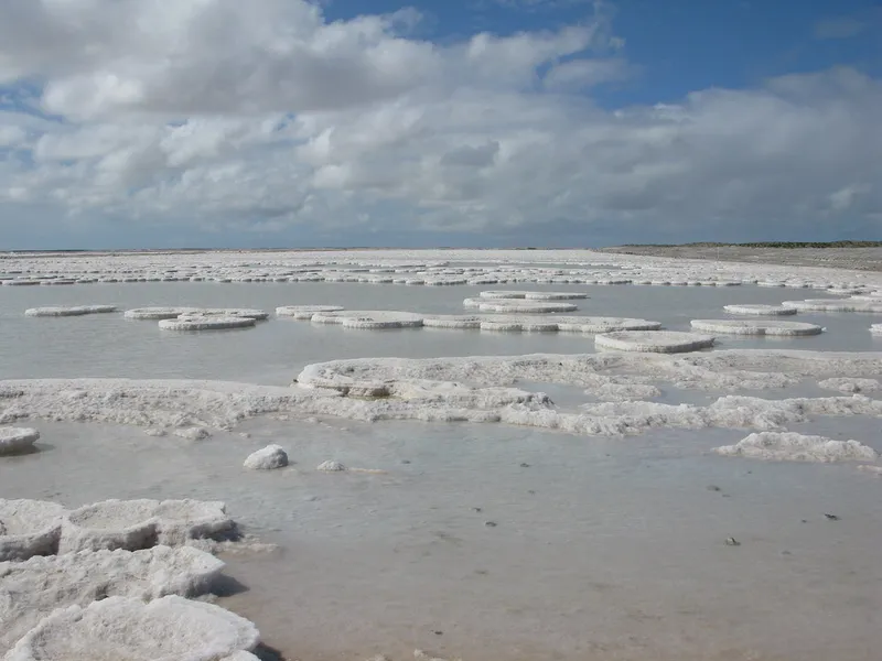 El Vizcaíno Biosphere Reserve