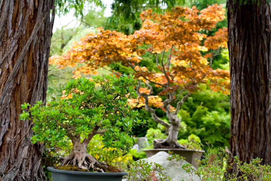 Elandan Gardens