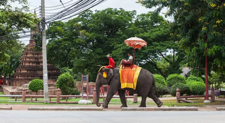 Elephant Kraal Pavilion