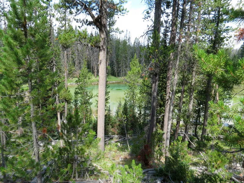 Elk Meadow Park