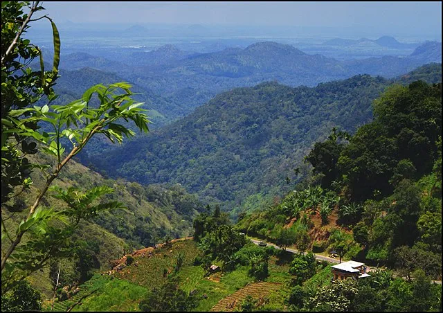 Ella Gap