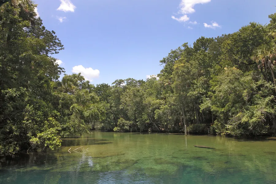 Ellie Schiller Homosassa Springs Wildlife State Park