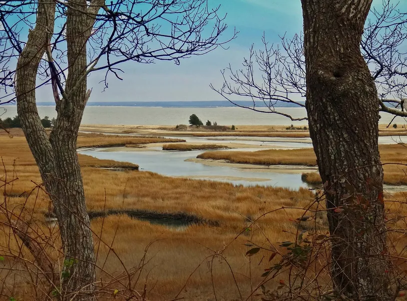 Ellisville Harbor State Park
