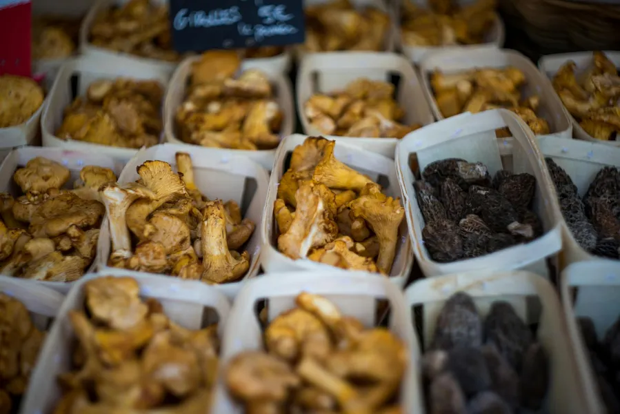 Elora Farmers' Market