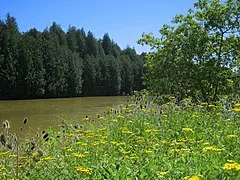 Elora Quarry Conservation Area