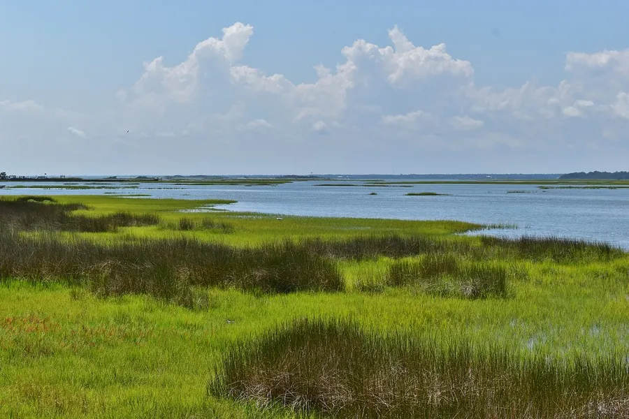 Emerald Isle Woods Park