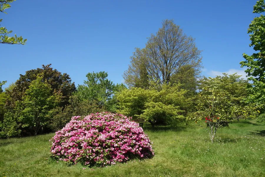 Emmetts Garden (National Trust)