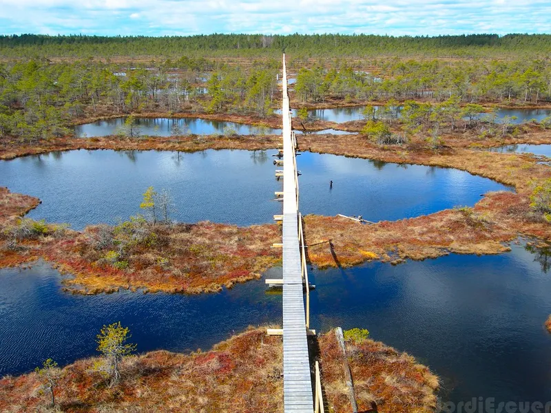 Endla Nature Reserve