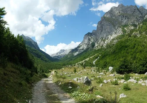 Enjoy Mountain Views