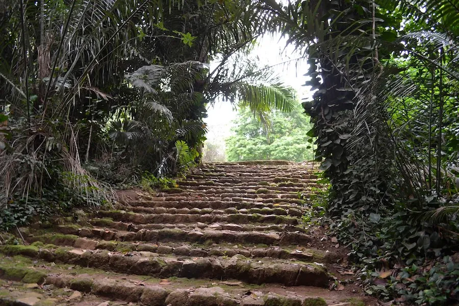 Entebbe Botanical Garden