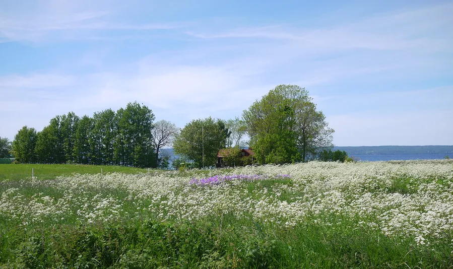 Eriksberg Nature Reserve