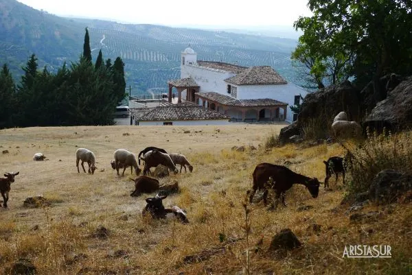 Ermita de la Virgen de la Cabeza