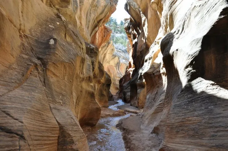 Escalante Canyon
