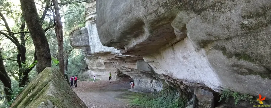 Espai Natural de les Guilleries-Savassona