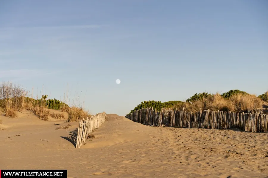 Espiguette Beach
