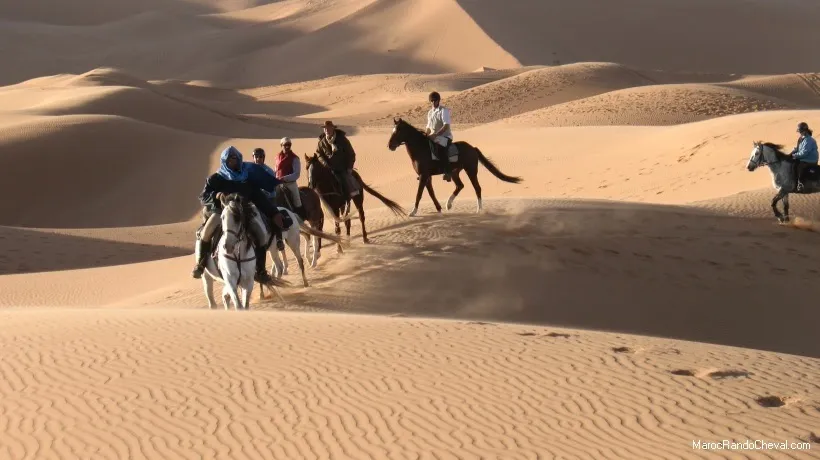 Essaouira Horseback Riding