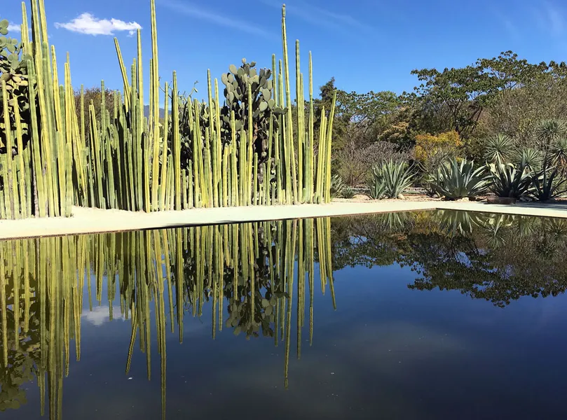 Ethnobotanical Garden of Oaxaca