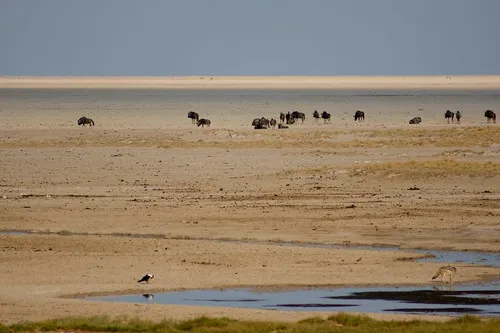 Etosha Pan