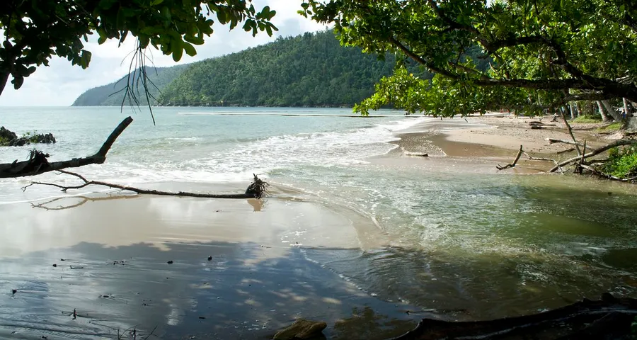Etty Bay Beach