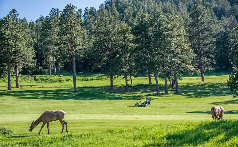 Evergreen Golf Course