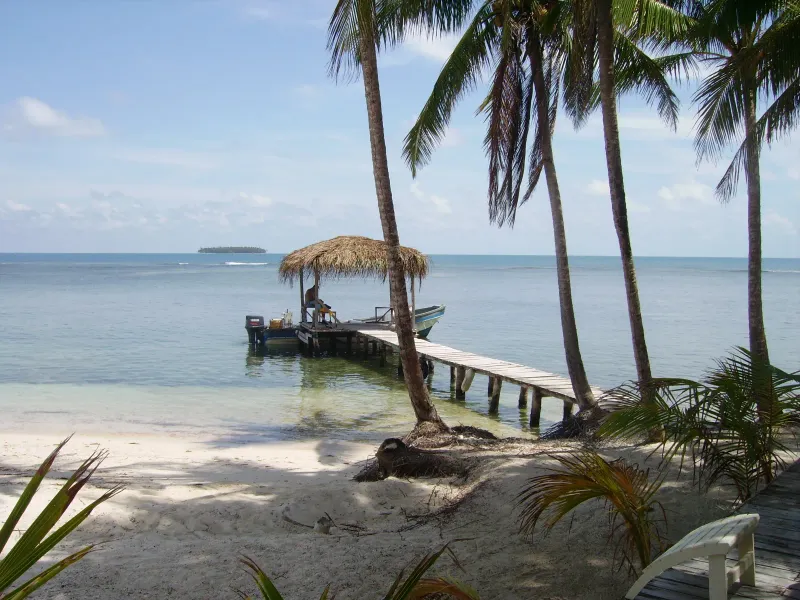 Exploring the Coral Reefs