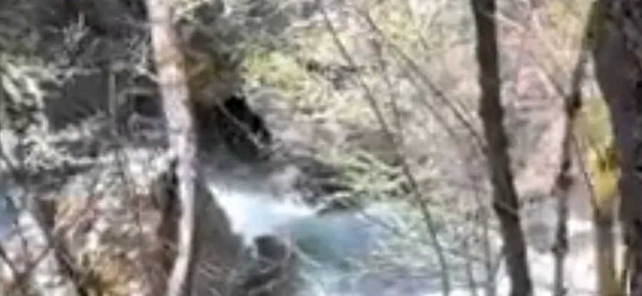 Faery Falls