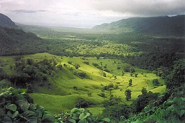Falefa Falls