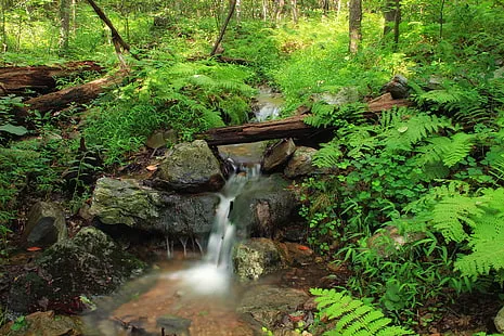 Falling Spring Falls