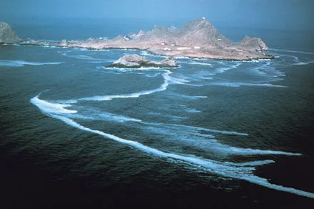 Farallon Island