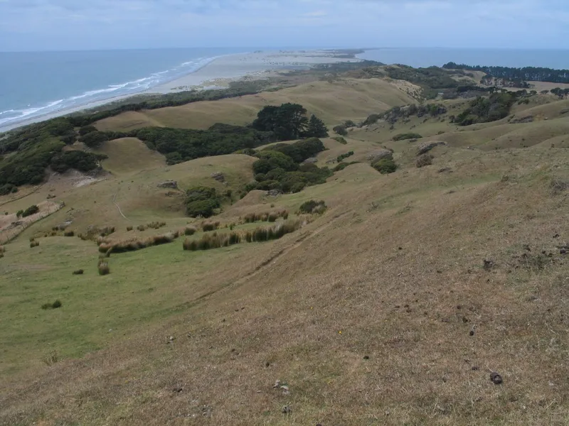 Farewell Spit