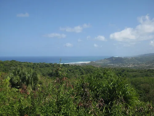 Farley Hill National Park