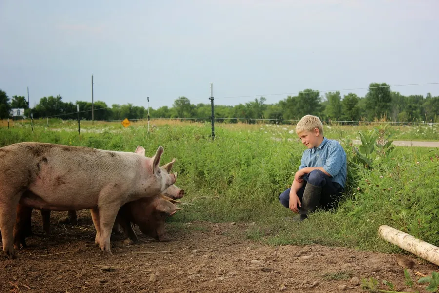 Farm Fun